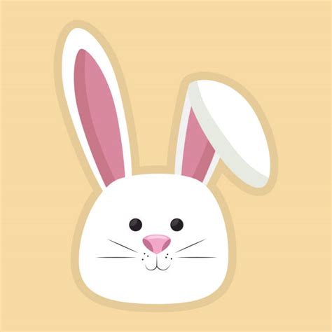 best bunny ear illustrations royalty free vector graphics and clip art istock