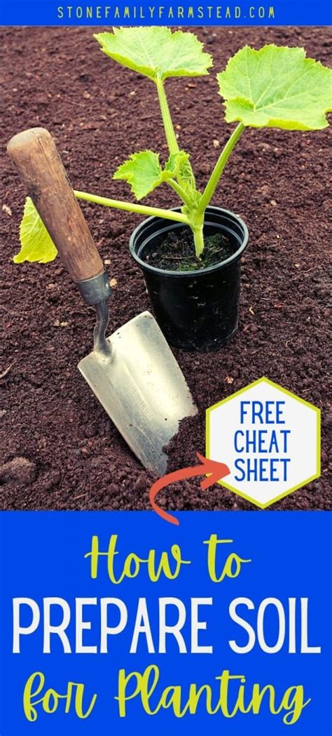 How To Prepare Soil For Planting An Awesome Garden