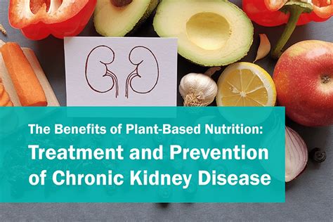 The Benefits Of Plant Based Nutrition Treatment And Prevention Of
