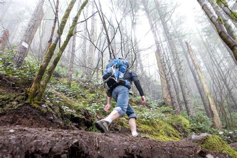 The 5 Best Rainy Day Hikes Near Portland