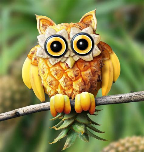 According to the world owl trust, owls are opportunists and will eat whatever they find. Artistic Fruit Carving | all about photo