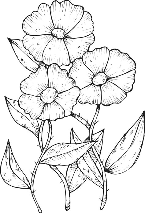 Download Flower Drawing Plant Royalty Free Vector Graphic Pixabay
