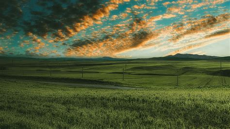 Download Wallpaper 2560x1440 Grasses Field Horizon Green Sky