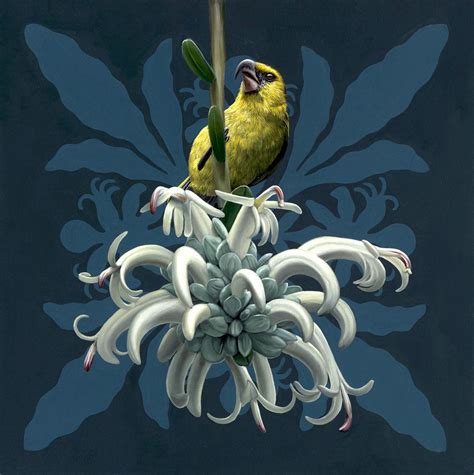 Jon Ching Hāhā Kiwikiu Animal Paintings Painting Bird Art