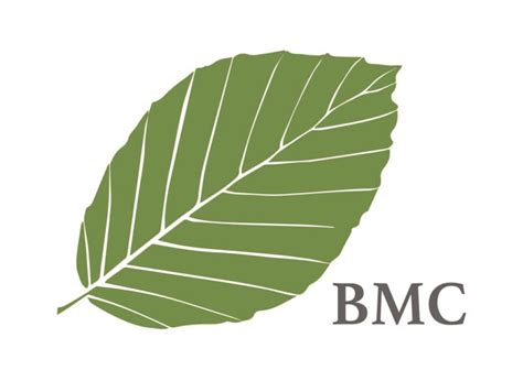Beech Mountain Club Introduces New Logo Beech Mountain Club