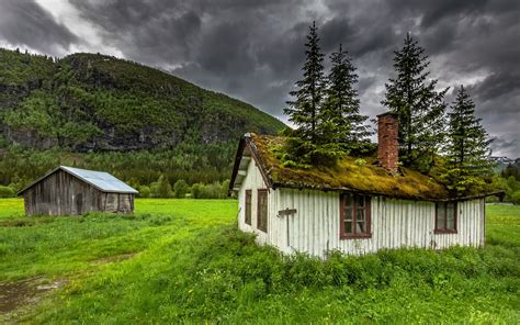 Hemsedal Norway House Moss Trees Grass Mountain Clouds Wallpaper