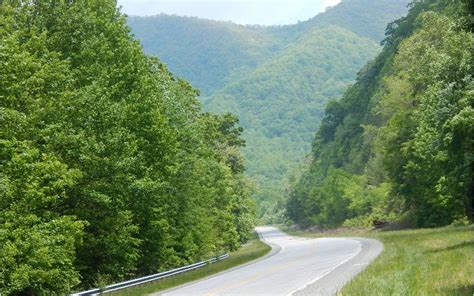 We did not find results for: North Georgia Mountain Land for Sale | North Georgia ...