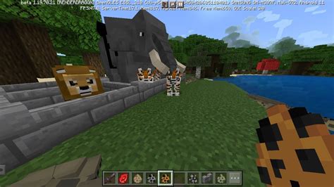 Real Animals In Minecraft Youtube