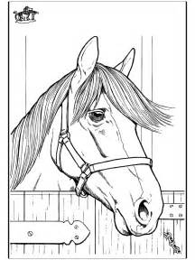 Stallions, mares, colts and more horse coloring pages and sheets to color. Horse 7 - Horses