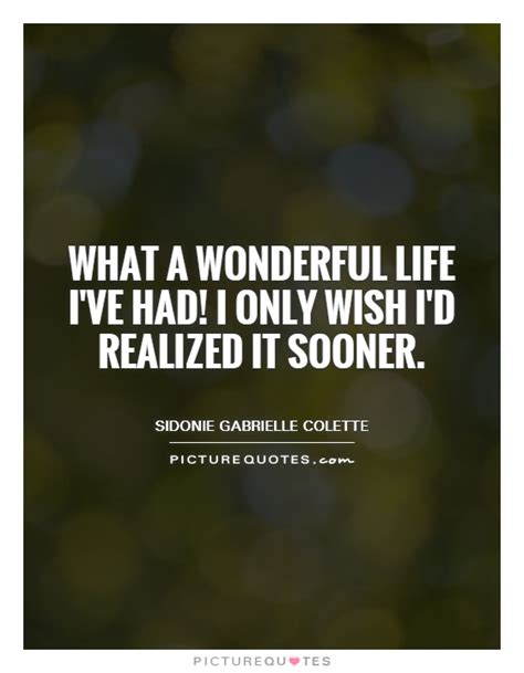 Wonderful Life Quotes And Sayings Wonderful Life Picture
