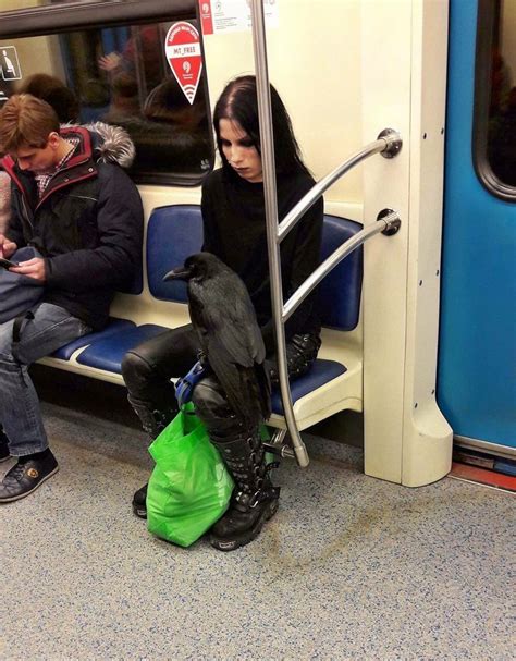 Une gothique se balade avec son corbeau dans le métro une bonne astuce