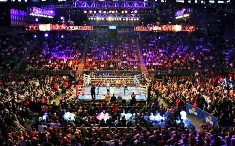 Boxing Crowd Featured 888 The Fight City