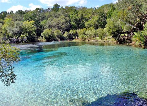 Photos Springs Silver Glen Springs In The Ocala National Forest