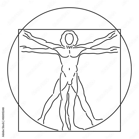 Leonardo Da Vinci Vitruvian Man Human Anatomy Vector Line Art Stock