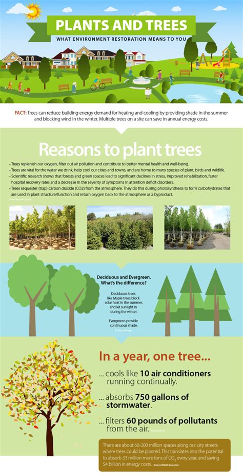 Plants And Trees Environmental Restoration Infographic
