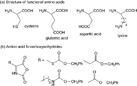 Each amino acid has at least one amine and one acid functional group as the name implies. Examples of a-amino acids having pendent functional groups ...