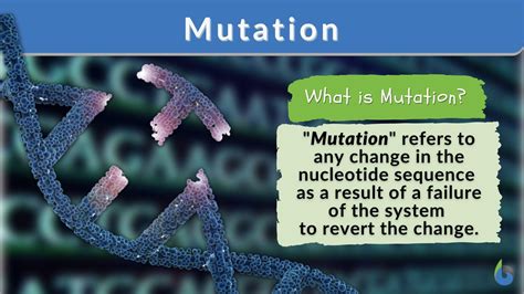Mutation Definition And Examples Biology Online Dictionary