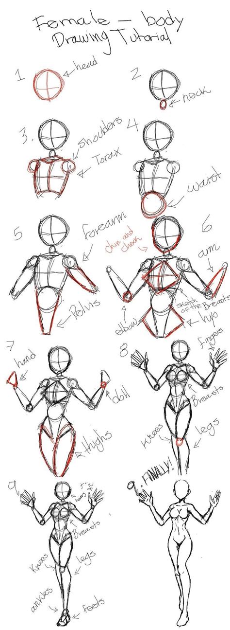 How To Draw Body Dibujos De Cuerpos Humanos Reales Paso A Paso Body