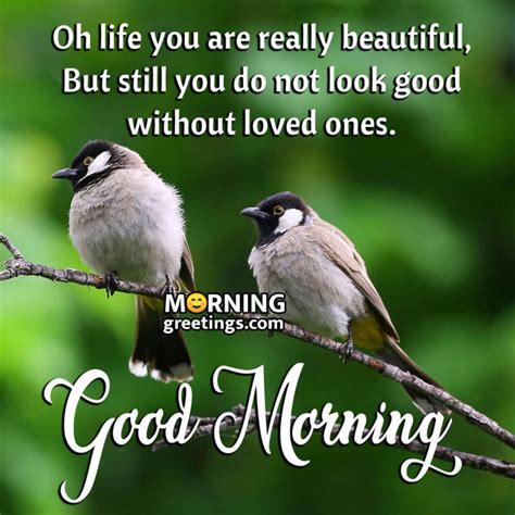 Collection Of Over Life Good Morning Images With Quotes Astonishing Assortment Of Life