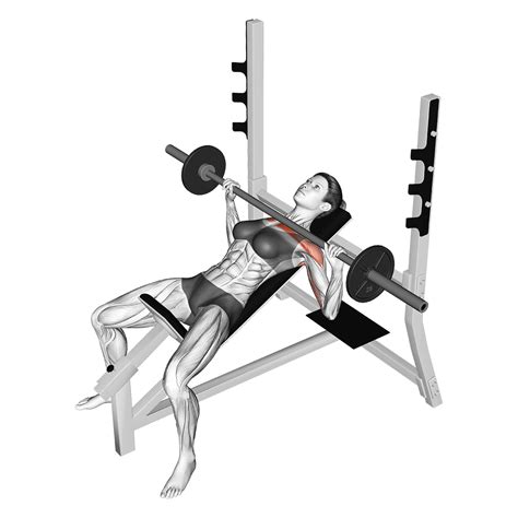Incline Bench Press Vs Flat Bench Press Differences Explained Inspire Us