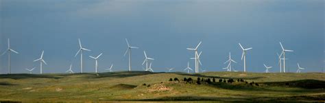 Wind, in climatology, the movement of air relative to the surface of the earth. Wind Energy - Bats (U.S. National Park Service)