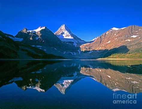 Mt Assiniboine On Magog Lake Photograph By Tracy Knauer Fine Art America