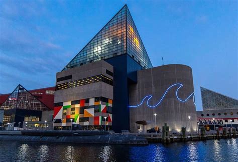 National Aquarium Baltimore Bmw Of Owings Mills