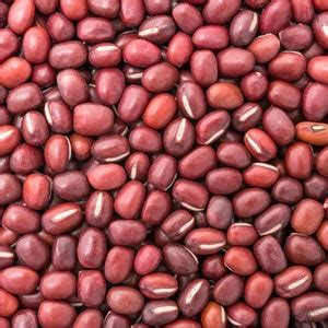 Red Ripper Cowpea Cow Pea Southern Pea Vigna Unguiculata Legume Bean Vegetable Seeds Etsy