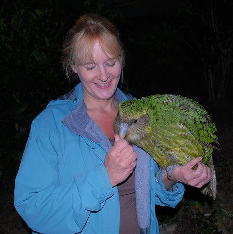 Barbaras Force Free Animal Training Talk Training Sirocco The Kakapo