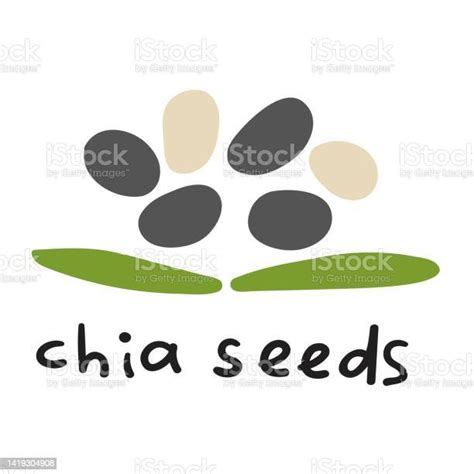 Chia Seeds Stock Illustration Download Image Now Chia Seed Art