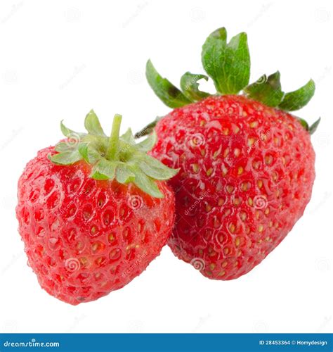 Beautiful Strawberries Stock Photo Image Of Juicy Fresh 28453364