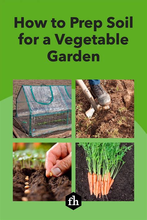 How To Prep Soil For A Vegetable Garden Growing Herbs Growing