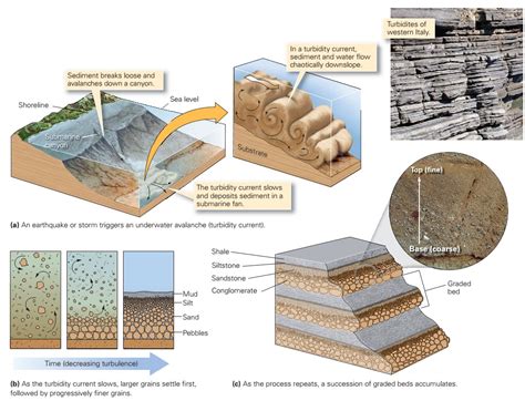 Sedimentary Structures Learning Geology