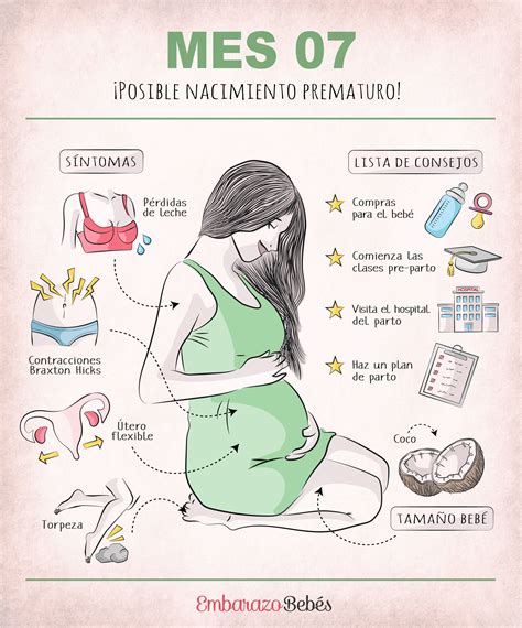 Lista 99 Foto Imágenes De La Etapa Del Embarazo Alta Definición