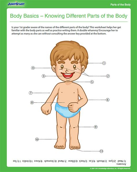 Fortunately, the body has a number of external and internal safeguards that prevent most dangerous invaders from entering and causing harm. Body Basics - Knowing Different Parts of the Body View - Free 1st Grade Science Worksheet ...