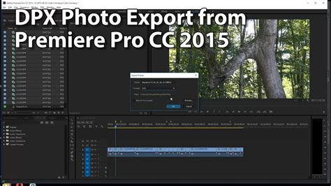 Главная » проекты для adobe premiere pro. DPX Photo Format for Exporting Frames - Premiere Pro CC ...