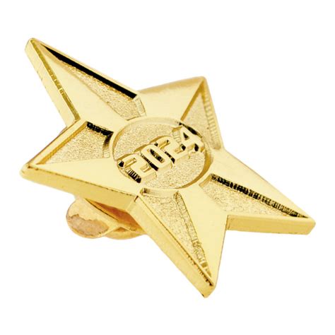 2024 Gold Star Pin Pinmart