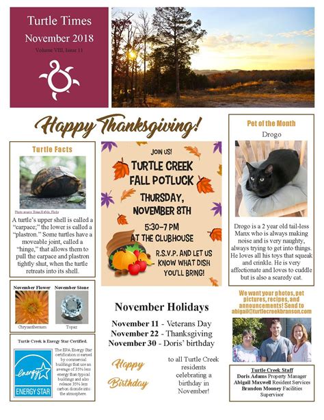 Turtle Times November 2018 | Turtle time, Turtle facts, Turtle