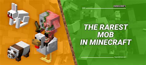 What Is The Rarest Mob In Minecraft Java Edition