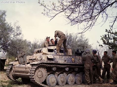 Inspecting A Captured Panzer II In Africa R TankPorn