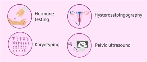 How To Test Female Fertility