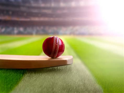 Cricket 10 Signs Your Kid Might Be A Talented Cricketer In The Making
