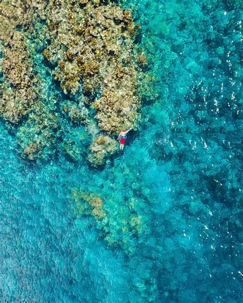 6 Places to Snorkel in Puerto Rico | Puerto rico trip, Puerto rico vacation, Puerto rico