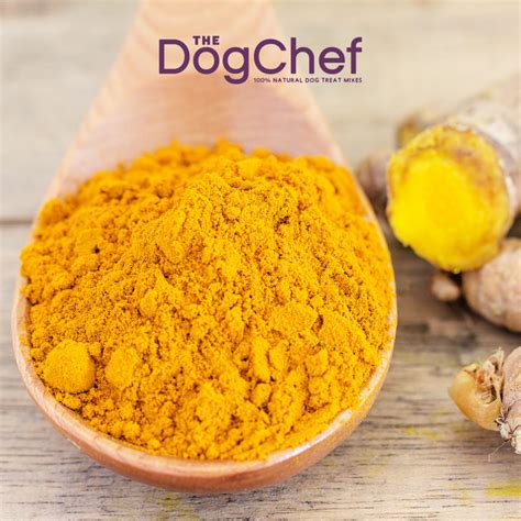 Turmeric For Dogs The Worlds Best Anti Inflammatory The Dog Chef