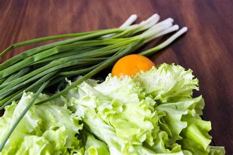 Fresh Green Lettuce Salad Healthy Food Stock Photo Image Of Healthy