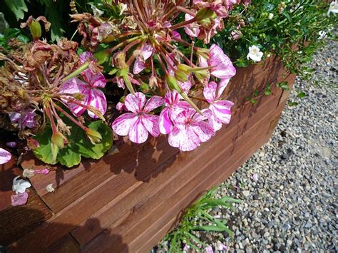Atlantic international corporation is recognized as one of the leading companies specialized in industrial maintenance products, with sales and service locations in all over the country. Tips for Cultivating Raised-Bed Gardens - Atlantic ...