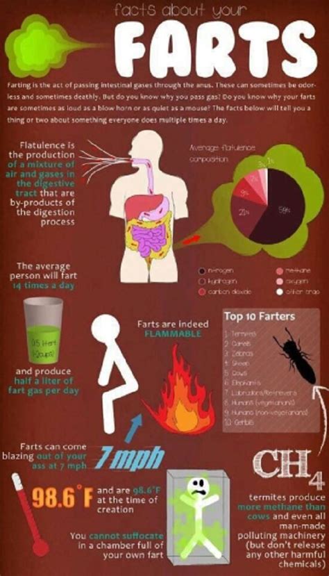 12 Facts About Farting You Probably Didn’t Know Video Surprising Facts Facts Health Images