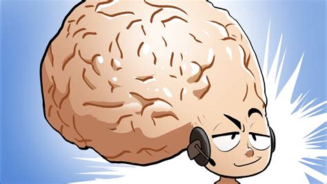 Biggest Brain Animal Top 10 Myths About The Brain Howstuffworks