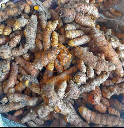 Best Turmeric Exporter And Supplier Indonesia Agrio Spice