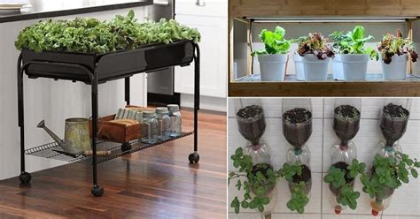 The automated systems described below are best used with a timer that will turn your watering device on and off so you don't have to remember. How Do You Start An Indoor Hydroponic Garden? | Farm ...